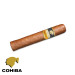 charuto cohiba robustos Itú