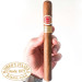 Charuto Romeo y Julieta Churchills Itú 
